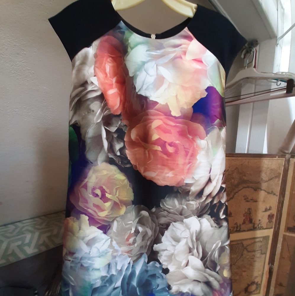 Ted Baker London floral dress size 10